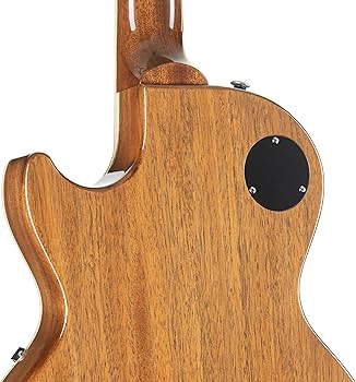 Amazon | Gibson Les Paul Standard 60s Figured Top Translucent